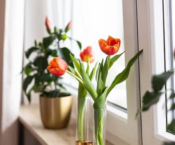 City-house-achern Quarto em Acomodações Particulares *